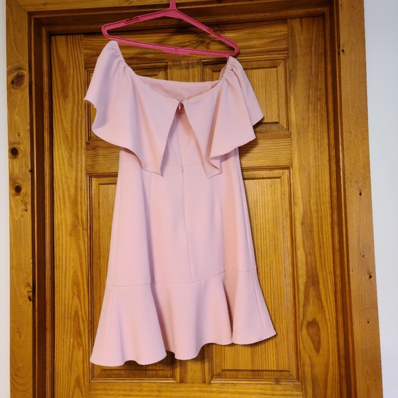 NWOT Pink Off the Shoulder Dress Size 6P - Picture 2 of 5
